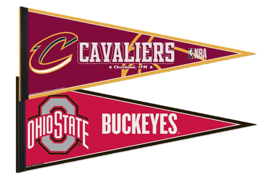 Assorted Sports Pennant