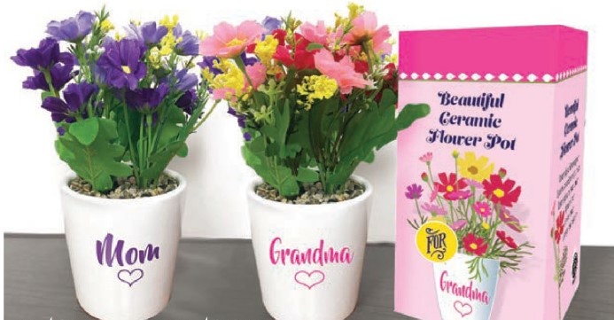 Mom / Grandma Flower Pot w/ Flowers