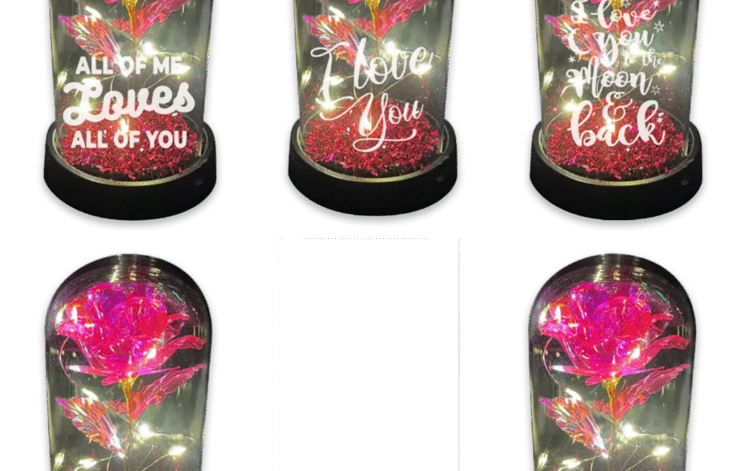 Light Up Glass Dome with Rose