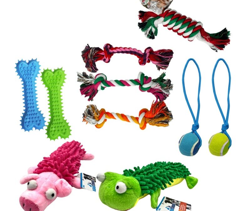 Assorted Dog Toys